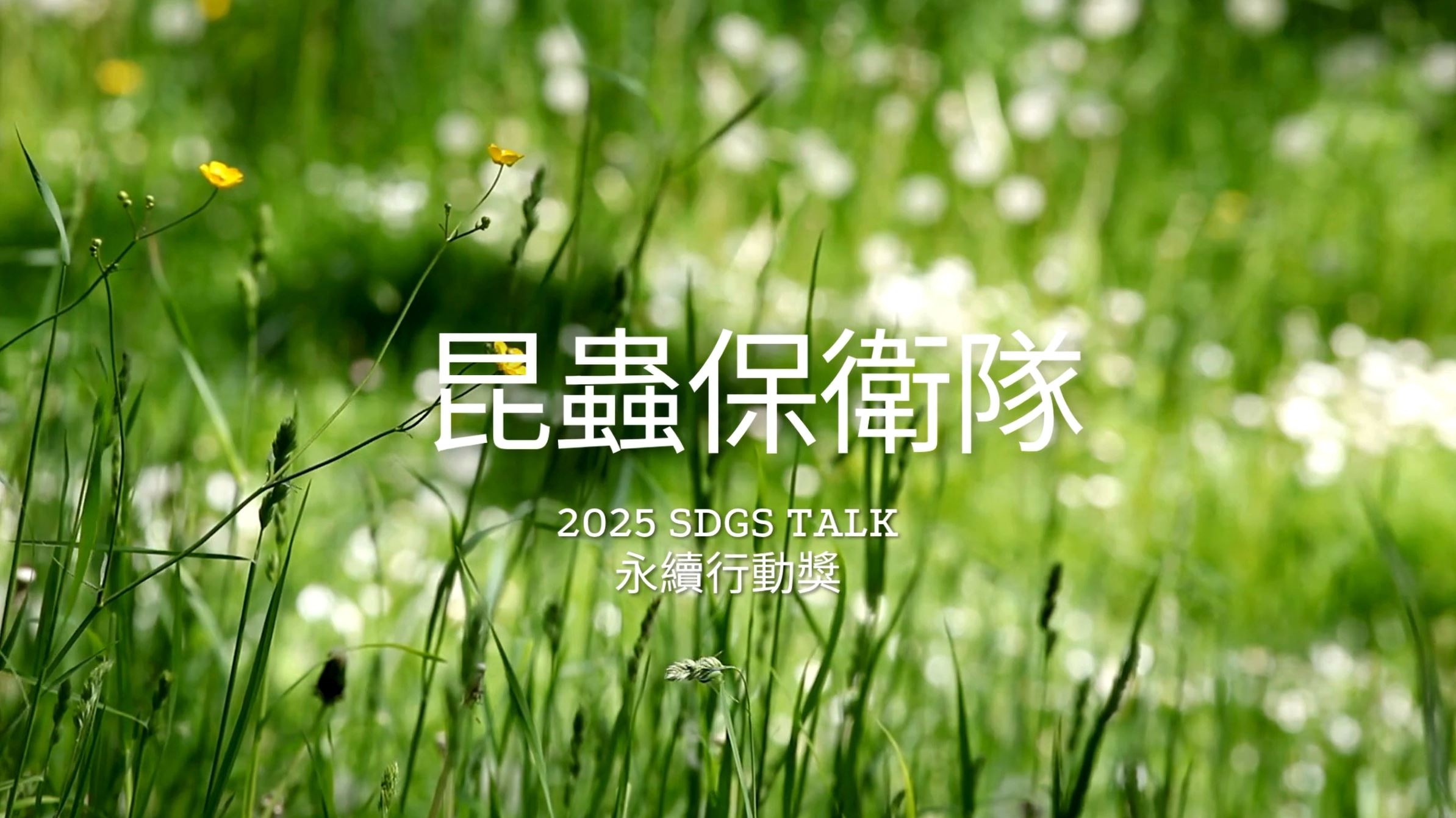 【2025 SDGs Talk 永續行動獎 影音作品集：國小組－A11】在社區創造「昆蟲的祕密花園」